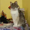 Отзыв от Дарья Колпакова